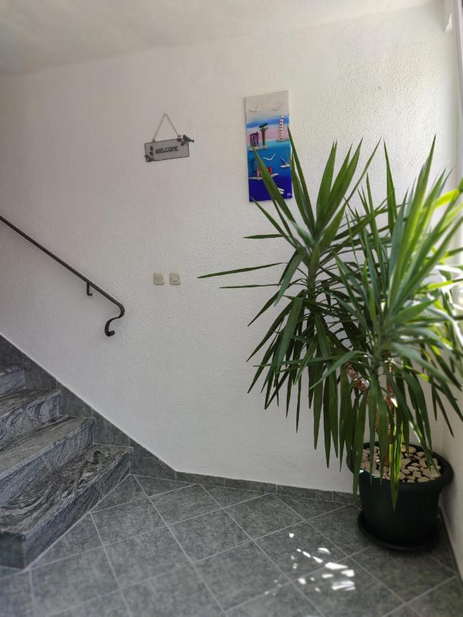 Apartments And Rooms Marica Makarska Ngoại thất bức ảnh